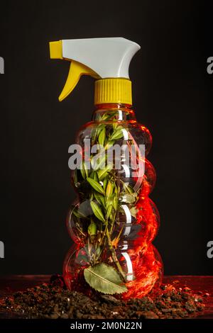 Transparenter Handsprühgerät gefüllt mit Kräutern. Isoliert auf schwarzem Hintergrund. Stockfoto