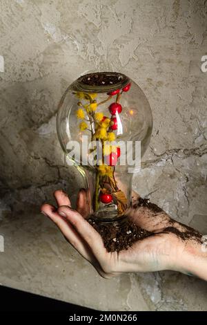 Handglühlampe mit Blumen im Inneren. Konzept des Öko-Umweltkonzepts. Stockfoto