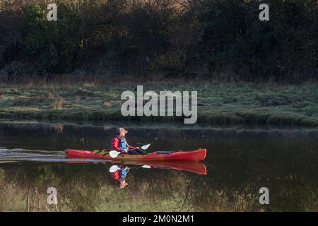 Isolierter einsamer Kanufahrer/Kajakfahrer auf dem Fluss Fowey in Lostwithiel (Cornwall) bei kaltem Sonnenlicht am frühen Morgen im Dezember. Für Outdoor-Sportarten. Stockfoto