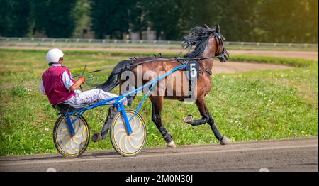 Jockey und Pferd. Trabrennen. Fahren Sie mit einem schmierigen oder Rennrad in den Gurtzeug. Trabrennen. Sportbanner. Trabrennen Stockfoto