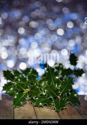 Holly Tree (Ilex aquifolium) auf einem glänzenden, farbenfrohen Hintergrund. Platz für Text oder Weihnachtswünsche. Stockfoto