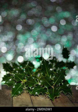 Holly Tree (Ilex aquifolium) auf einem glänzenden, farbenfrohen Hintergrund. Platz für Text oder Weihnachtswünsche. Stockfoto