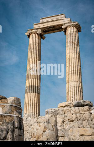 Ruinen und Tempel des Apollo in Didyam, Türkei Stockfoto