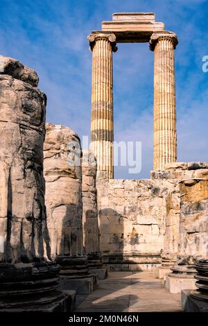 Ruinen und Tempel des Apollo in Didyam, Türkei Stockfoto