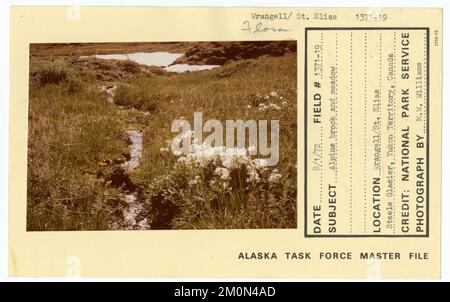 Alpiner Bach und Wiese. Alaska Task Force Fotos Stockfoto