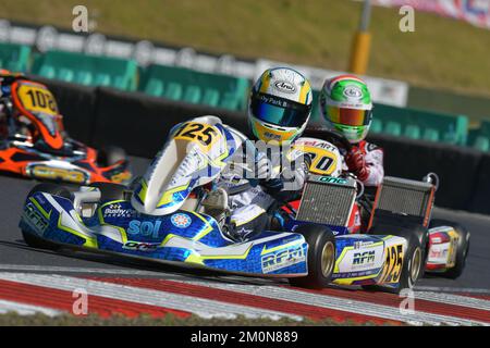 Barbadianer Rennfahrer Zane Maloney, Red Bull Racing Junior Team und F1 Reserve Driver im Jahr 2023. Stockfoto