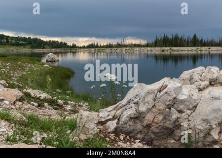 Wunderschöner blauer See mit weißem Felsen und weißen Blumen hoch oben in den Bergen von Utah Stockfoto