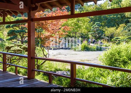 Die Insel Versailles ist eine künstliche Insel am Erdre in Nantes, Frankreich, die in einem japanischen Garten angelegt ist. Stockfoto