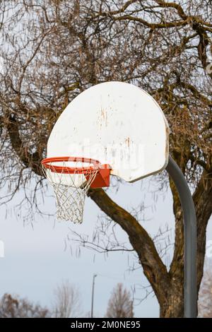 Orangefarbener Basketballkorb mit Netz im Freien mit blattlosem Baum und markierter weißer Rückwand Stockfoto