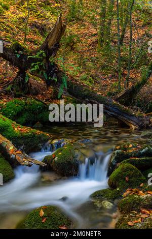 Wasserfall im portugiesischen Nationalpark Geres, im Norden des Landes Stockfoto