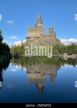 Eine vertikale Aufnahme einer mittelalterlichen Burg, die sich auf dem See mit grünem Ufer spiegelt Stockfoto