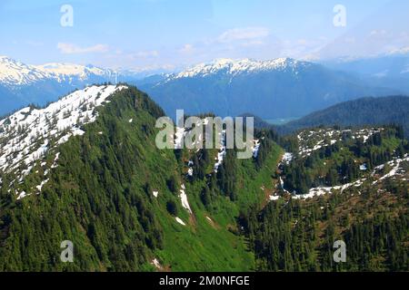 Tongass National Forest in Alaska aus einem Flugzeug gesehen Stockfoto