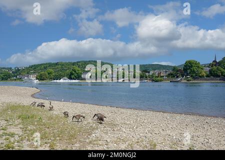 Linz am Rhein, Rhein, Deutschland Stockfoto