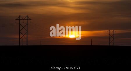 Stromleitungen stehen in einem goldenen Sonnenuntergang. Stockfoto