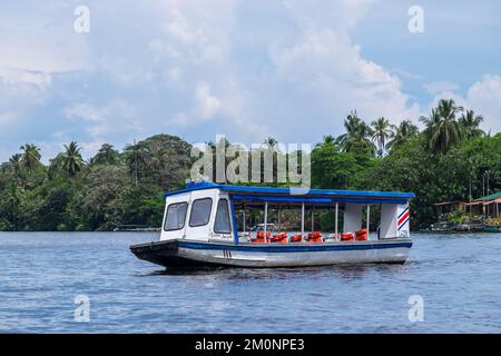 Passagierschiff vor Anker im Tortuguero-Kanal, Costa Rica Stockfoto