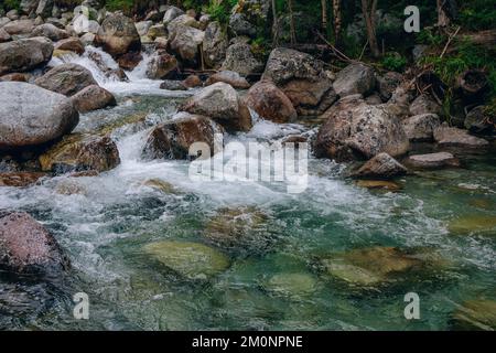 Sommerlandschaft - Bergfluss aus nächster Nähe in einem Wald - kristallklares Wasser, Felsen und üppiges Laub. Stockfoto