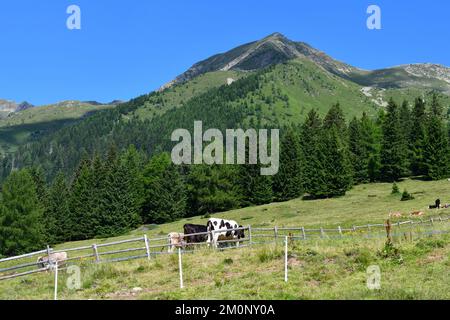 In Der Nähe Von Proveis Stockfoto