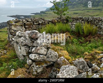 Old Flechten Covered Stone Walls, Boreraig, Isle of Skye, Schottland, Großbritannien Stockfoto