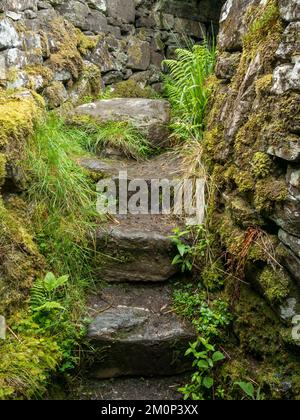 Alte Treppe in den Ruinen von Totaig Broch (Caisteal Grugaig), einem alten schottischen Rundhaus aus der Eisenzeit, Letterfearn, Highland, Schottland, Großbritannien Stockfoto