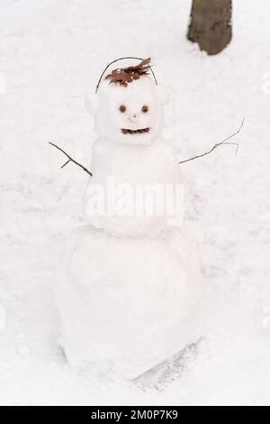Süßer weißer Schneemann, der vor dem Hintergrund der verschneiten Bäume steht Stockfoto