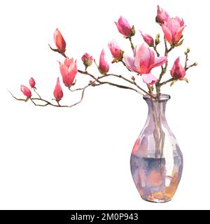 Aquarelle Darstellung eines Magnolienzweigs in einer transparenten Vase auf weißem Hintergrund. Inneneinrichtung. Stockfoto