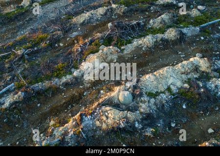 Eine Antenne eines mineralisierten, klaren Gebiets in Hossa, Nordfinnland Stockfoto