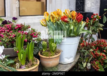 In den Kartons neben dem Liberty Store in London sind Blumen in verschiedenen roten Farben zu finden. Große Blumensträuße in Zinnvasen. Stockfoto