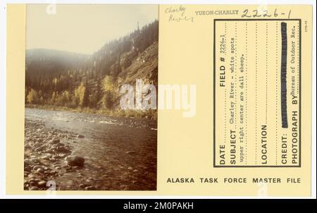 Charley River - Weiße Flecken oben rechts in der Mitte sind Dall-Schafe. Alaska Task Force Fotos Stockfoto