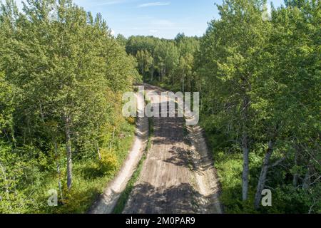 Eine frisch gebaute Schotterstraße, die durch Hartholzborealwälder in Estland, Nordeuropa führt Stockfoto