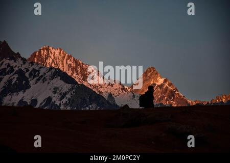 Sonamarg, Indien. 04.. Dezember 2022. Ein Besucher ist während des Sonnenuntergangs in Sonamarg, etwa 100kms km nordöstlich von Srinagar, der Sommerhauptstadt von Jammu und Kaschmir, vom schneebedeckten Berg umgeben. (Foto: Saqib Majeed/SOPA Images/Sipa USA) Guthaben: SIPA USA/Alamy Live News Stockfoto