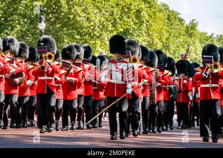 Die Königsgarde in London, England, wird angeklagt, die offiziellen königlichen Residenzen im Vereinigten Königreich zu bewachen. Stockfoto