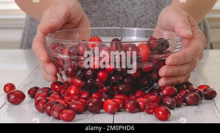 Schüssel reifer Cranberries in Frauenhänden, Nahaufnahme auf dem Küchentisch Stockfoto