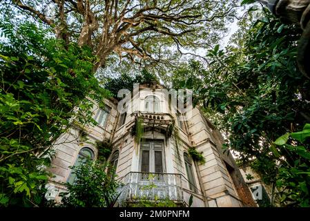 Altes verlassenes Haus im Wald Stockfoto