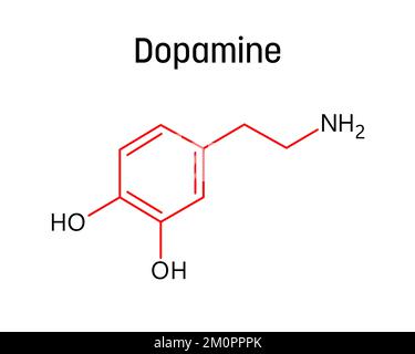 Dopamin-Molekularstruktur. Dopamin ist ein Neurotransmitter, der im menschlichen Körper eine wichtige Rolle spielt. Vektorstrukturformel einer chemischen Verbindung mit roten Bindungen und schwarzen Atommarkierungen. Stock Vektor