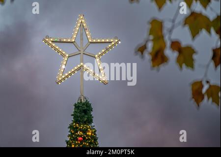 BONN, DEUTSCHLAND - 6. DEZEMBER 2022: Beleuchtete Baumkrone auf Bonner Weihnachtsmarkt-Baum Stockfoto