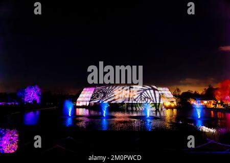 Das Glasshouse und der See werden im jährlichen Weihnachtsglühen 2022, RHS Garden Wisley, Surrey, mit bunten Lichtern bei Nacht beleuchtet Stockfoto