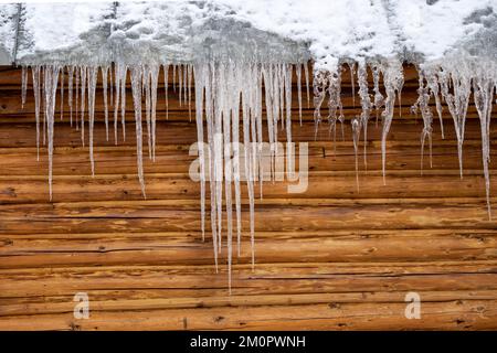 Lange Eiszapfen hängen vom Metalldach an der Holzkabine Stockfoto