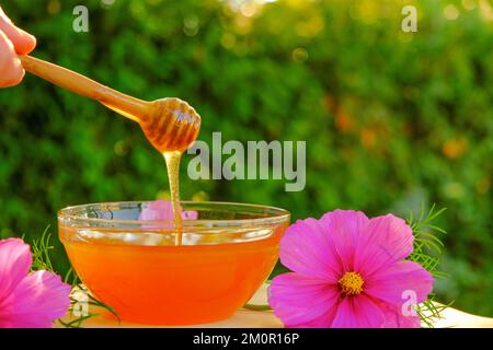 Blumenhonig mit rosa Blume. Heilender Nachtisch. Honig fließt aus einem Holzstock in eine Glasschale frische Sommerprodukte honey.beekeeping. Stockfoto