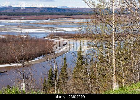 Chena River in Fairbanks, Alaska Stockfoto