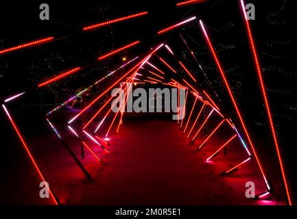 Zoolights Calgary Zoo Alberta Stockfoto