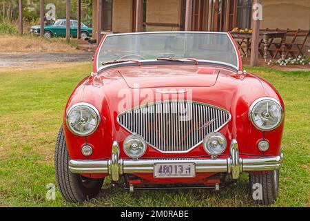 Vorderansicht 1952 Austin Healey 100 Sportwagen Stockfoto