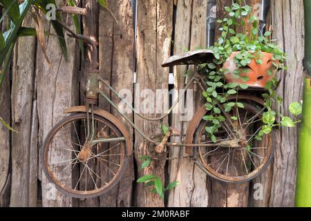 Ein kleines antikes Fahrrad, mit dem ein Holzzaun dekoriert wurde Stockfoto