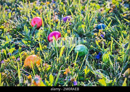 Bunte Ostereier auf grüner Wiese Stockfoto