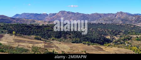 Panoramablick auf die Bergkette von Grazalema in der Provinz Cadiz, Spanien. Stockfoto