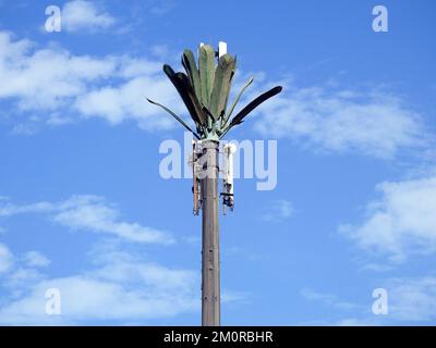 Handymast in Ägypten oder Mobilfunkantenne, getarnt auf gefälschten Palmen, die in angemessenen Abständen entlang von Straßen und Nebenstraßen platziert werden, um ov zu kommunizieren Stockfoto