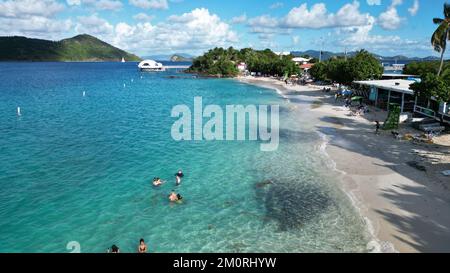 Eine Drohnenaufnahme von Menschen im ruhigen Wasser am Strand von Coki Point, St. Thomas Island Stockfoto
