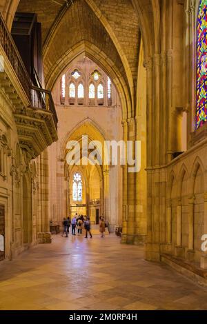 Blick auf die rechte Seite der Kathedrale von León mit ihrer beeindruckenden Höhe der Gewölbe, voller seitlicher Buntglasfenster. Castile und Leon, Spa Stockfoto