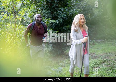 Senior friends doing hiking in the woods during daytime Stock Photo