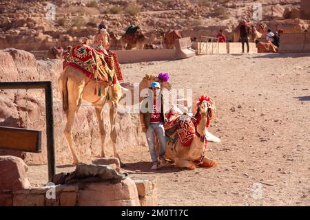 Petra, Jordanien - 3. November 2022: Beduinische Kamele und Fahrer in der antiken Stadt Petra Stockfoto