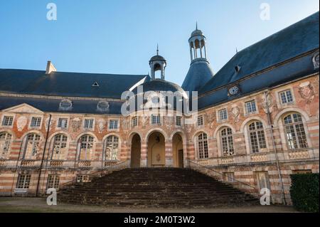 Frankreich, Yonne (89), St. Fargeau, Burg St. Fargeau, Stockfoto